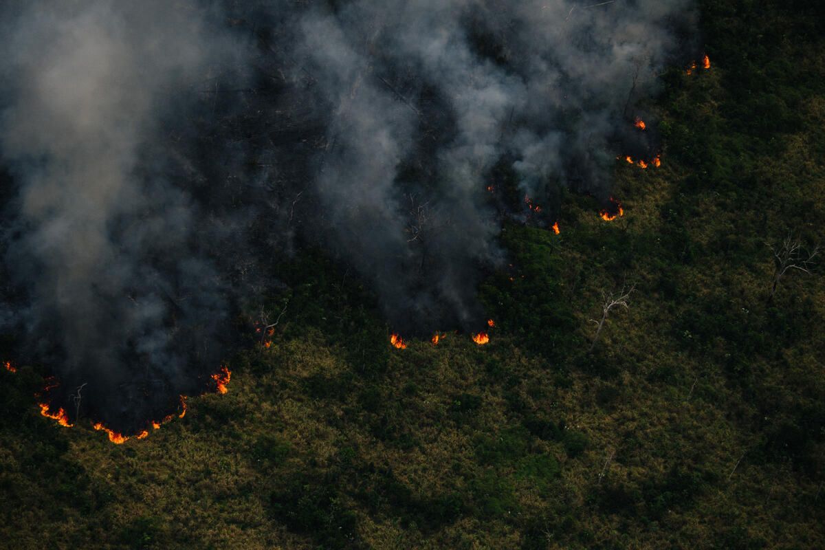 PF investiga queimadas e desmatamento em área rural do Amazonas
