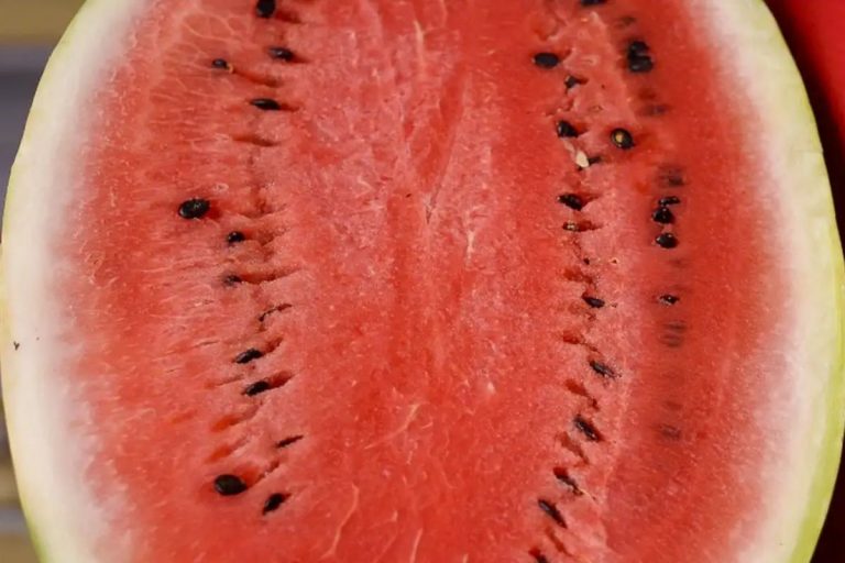Estudo aponta que consumo de melancia pode desencadear crises de enxaqueca