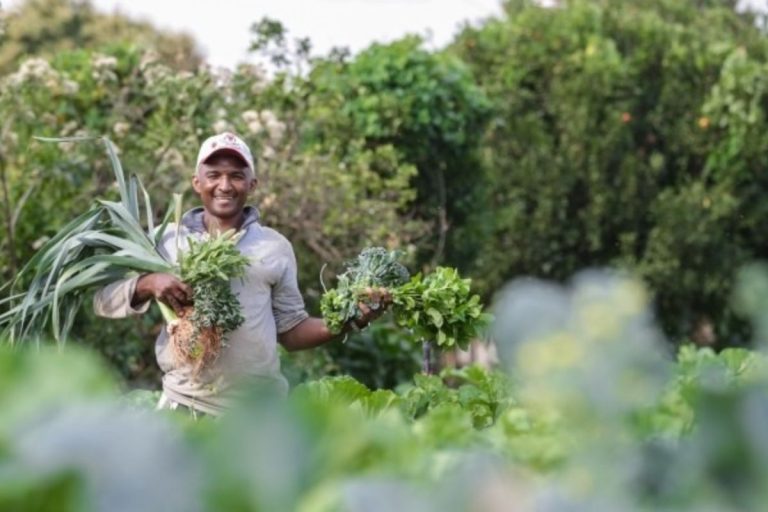 Fundo Amazônia investe R$ 80 milhões em agricultura familiar e povos tradicionais