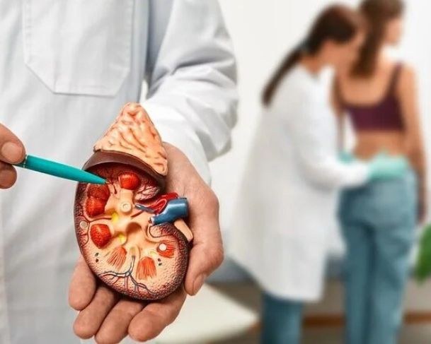 Entenda por que o câncer de rim costuma ser descoberto tardiamente