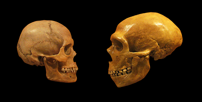 Pré-história: homens Neandertais preferiam relações sexuais com fêmeas Homo Sapiens, aponta pesquisa