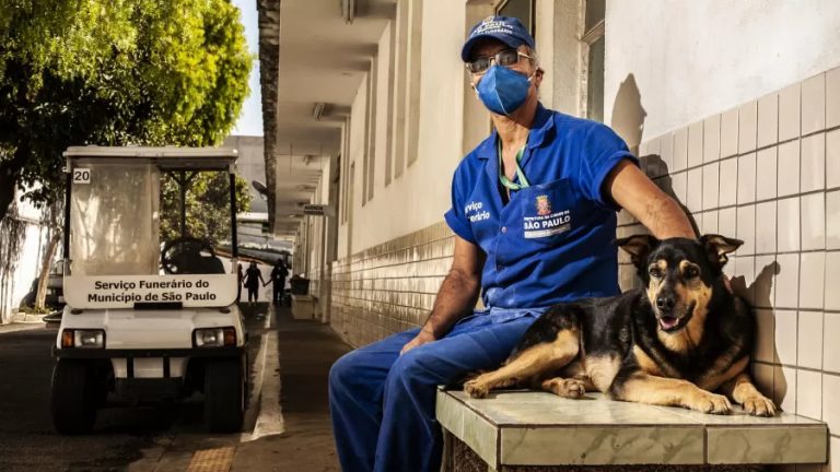 Governo de SP autoriza que cães e gatos passem a ser enterrados em jazigos familiares