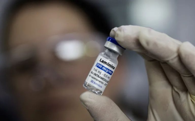 Polilaminina: proteína estudada por pesquisadora brasileira pode ajudar na regeneração da medula espinhal