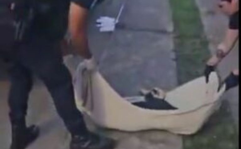 Cachorro morre ao ser levado e arremessado do alto de prédio