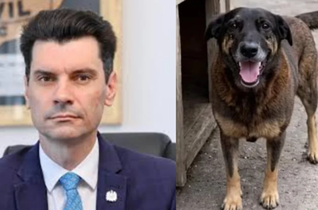 Justiça suspende investigação criminal contra ex-delegado no caso Orelha