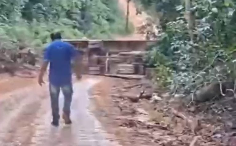 Ônibus escolar capota em ramal na BR-174 durante trajeto com estudantes