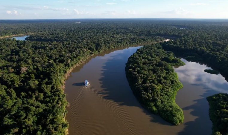 Selo Amazônia: Ministério fará consulta aos setores produtivos da região amazônica
