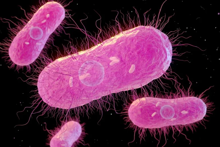 EUA investiga infecções por salmonella ligadas a aves domésticas