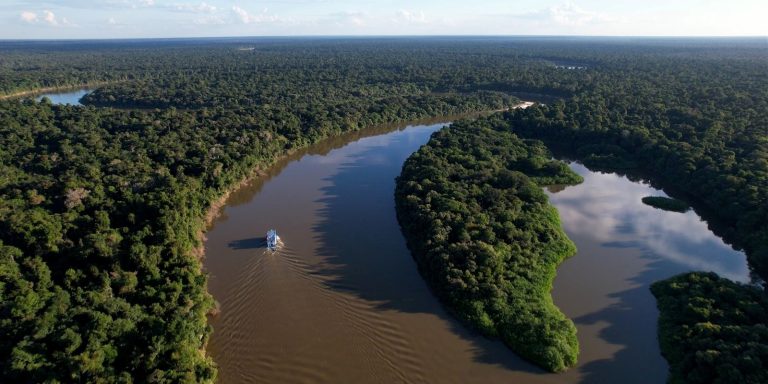 Amazonas vira destaque nacional por redução no desmatamento em 2025