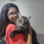redeondadigital_pets_cuidados.jpg