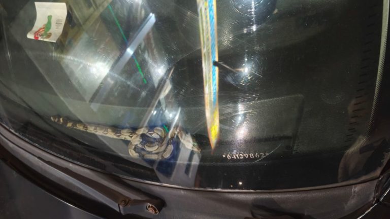 Jiboia é encontrada dentro de carro na zona Sul de Manaus