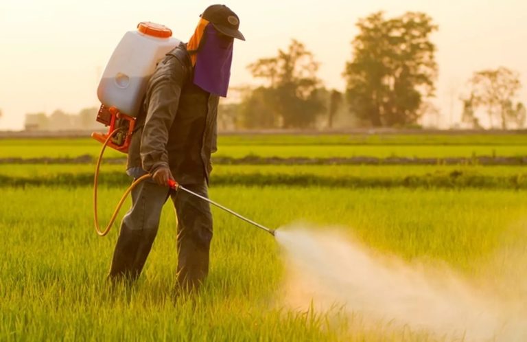 Governo vai monitorar presença de agrotóxico em bacias hidrográficas