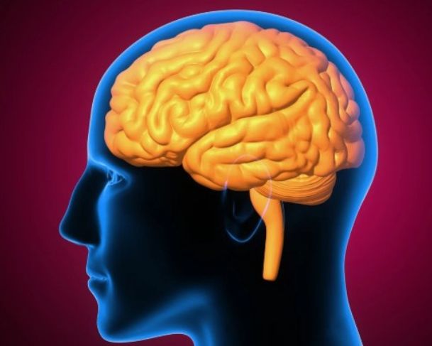 Pesquisa identifica relação entre alterações genéticas e doença de Alzheimer