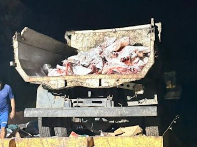 Carne estragada que iria parar na mesa dos consumidores é apreendida no AM